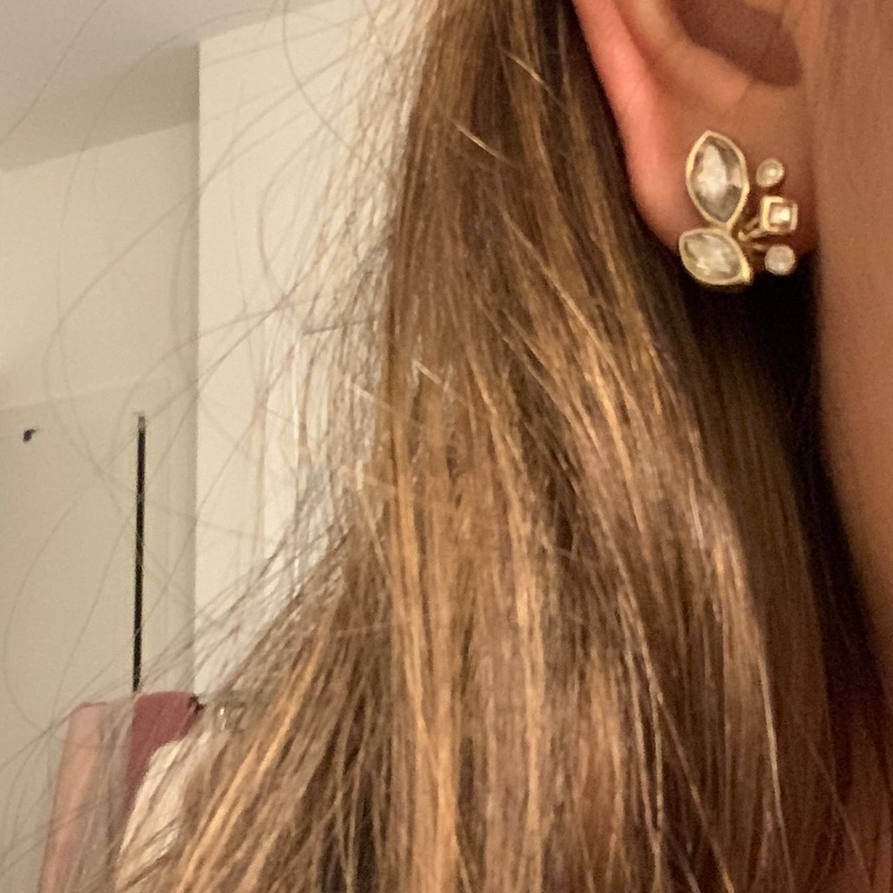 Alexis Bittar crystal earrings